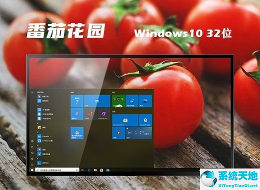 番茄花園 ghost win10 32位正式版 v2022.08
